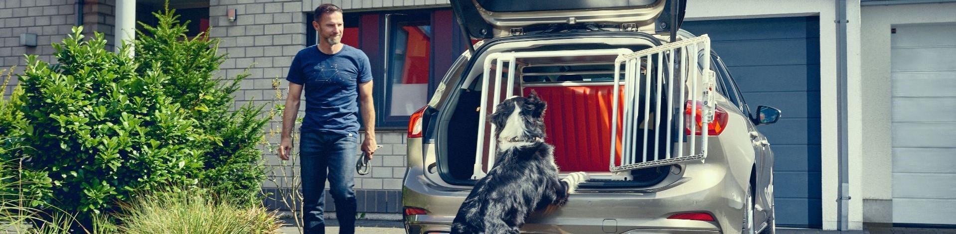 Important Things Every Dog Owner Should Consider When Buying A New Car